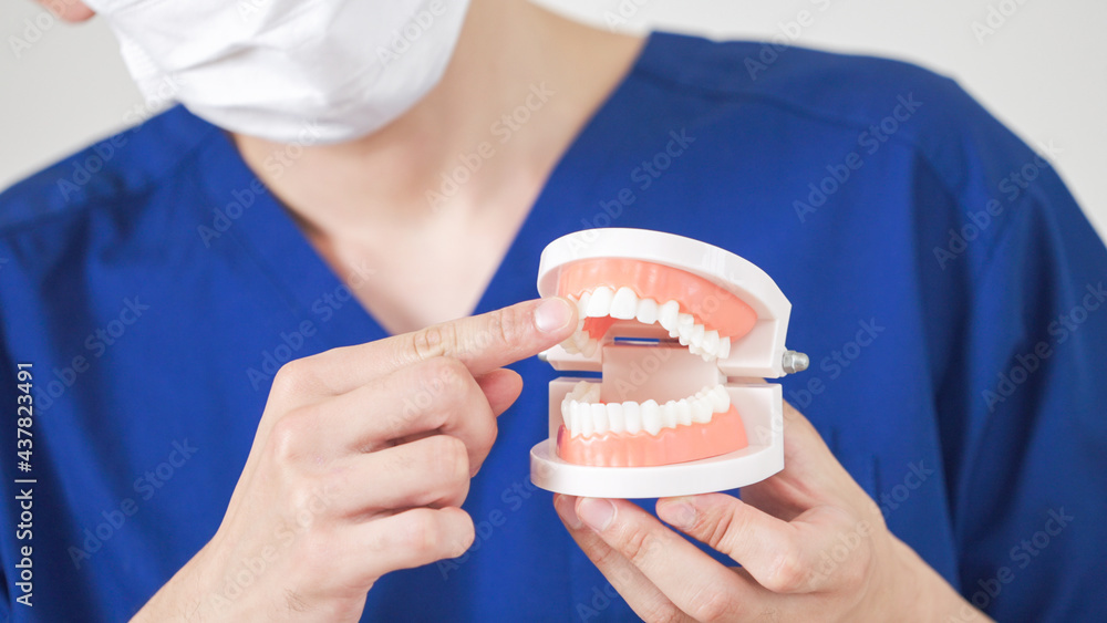 歯周病は全身の病気に関わります